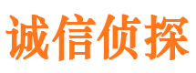 西岗侦探公司